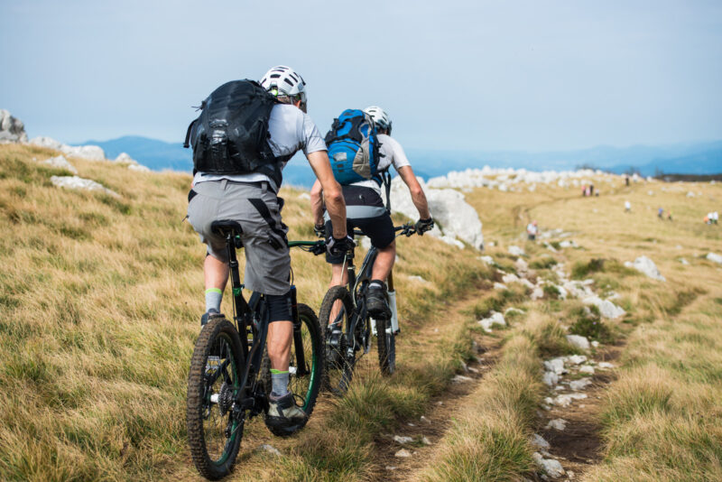 Two mountain bikers riding their bikes along the trail.